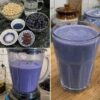 BLUEBERRY SPINACH SMOOTHI