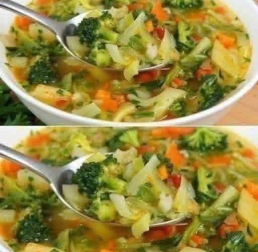 VEGETABELE SOUP