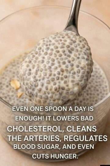 healthy seia seed